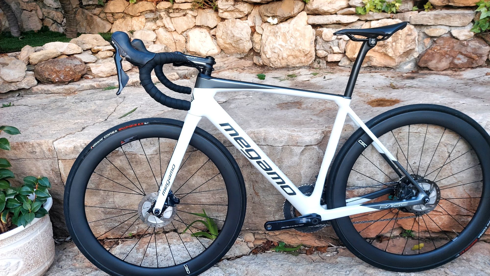 Megamo Raise Disco t52