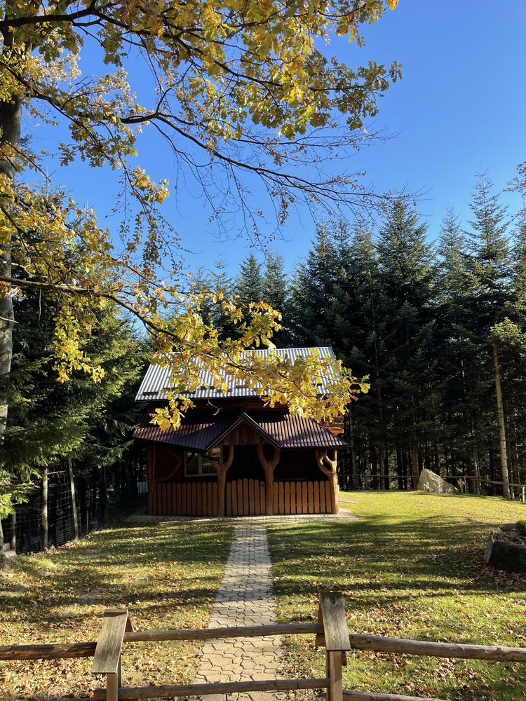 Domki Agroturystyka ,,Jawor” Wolne terminy na wakacje!