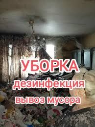 Генеральная уборка / Вывоз мусора / Удаление запаха / Дезинфекция