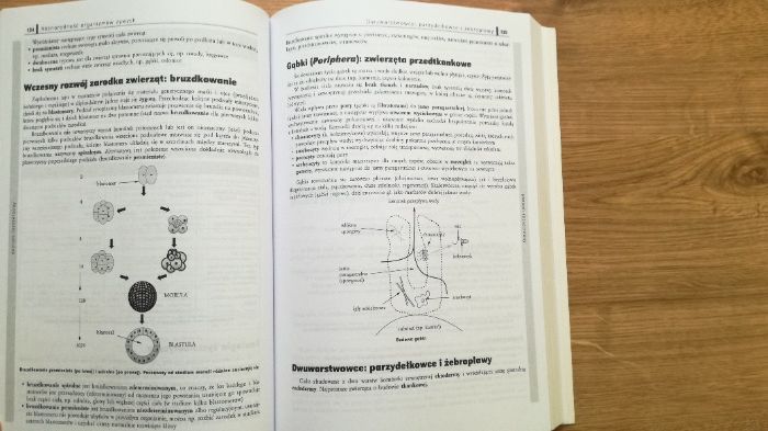 Repetytorium maturzysty biologia, zakres podstawowy i rozszerzony