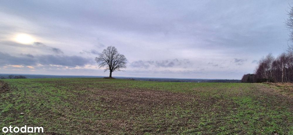 Działka Domatowo - na wzniesieniu - wydane warunki zabudowy