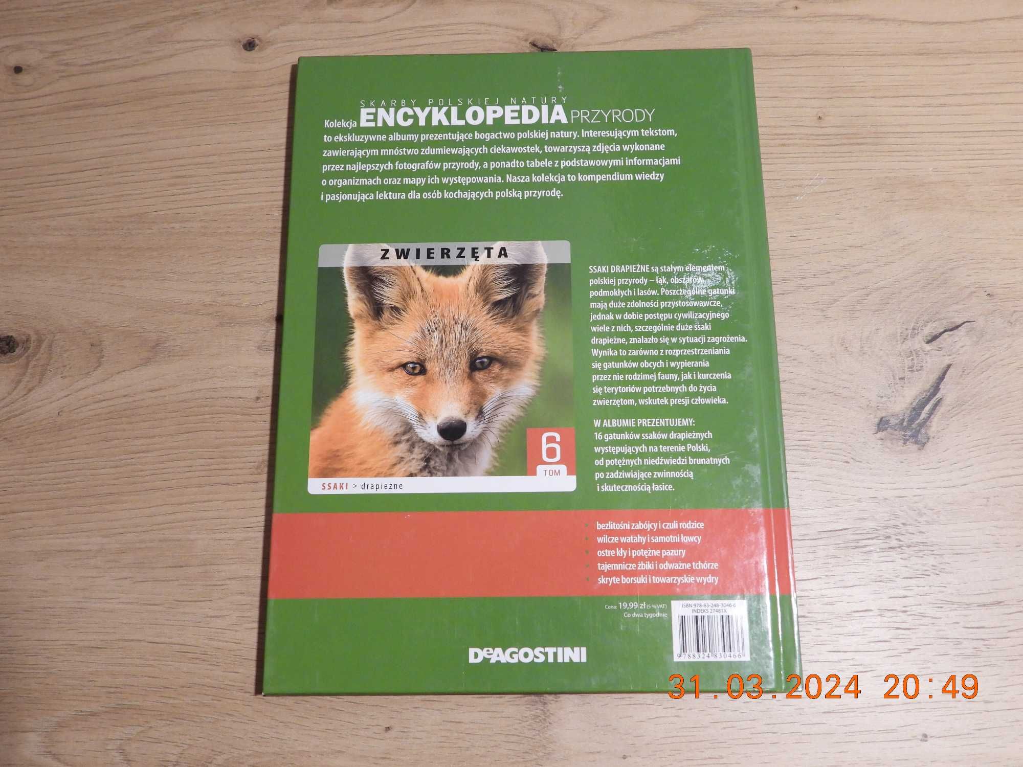 Encyklopedia Przyrody - Tom 6 Zwierzęta - Ssaki Drapieżne