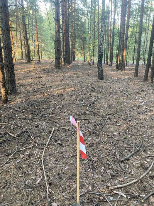 Продам земельну ділянку в с. Пірнове