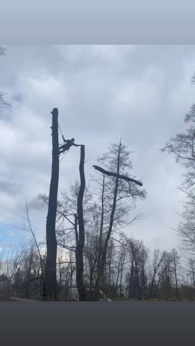 Alpinistyczna wycinka  i pielegnacja drzew/Czyszczenie dzialek