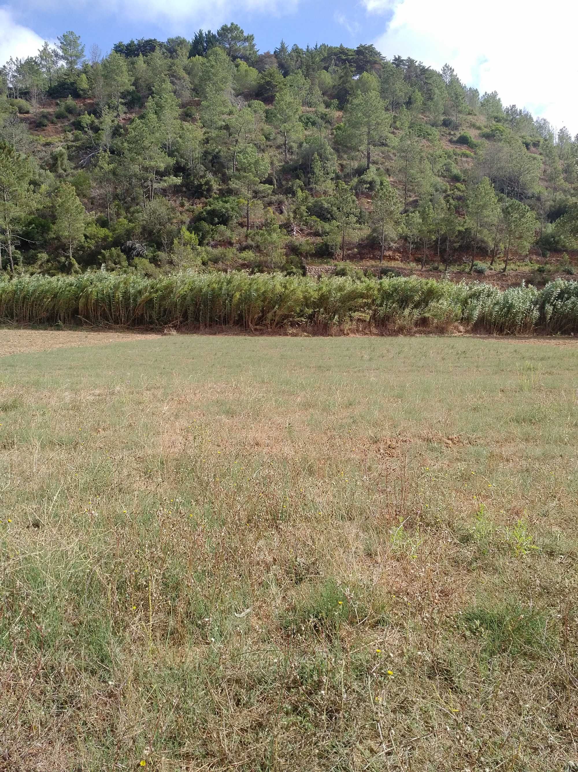 Terreno rustico de 1000m2 Carvoeira - Mafra.