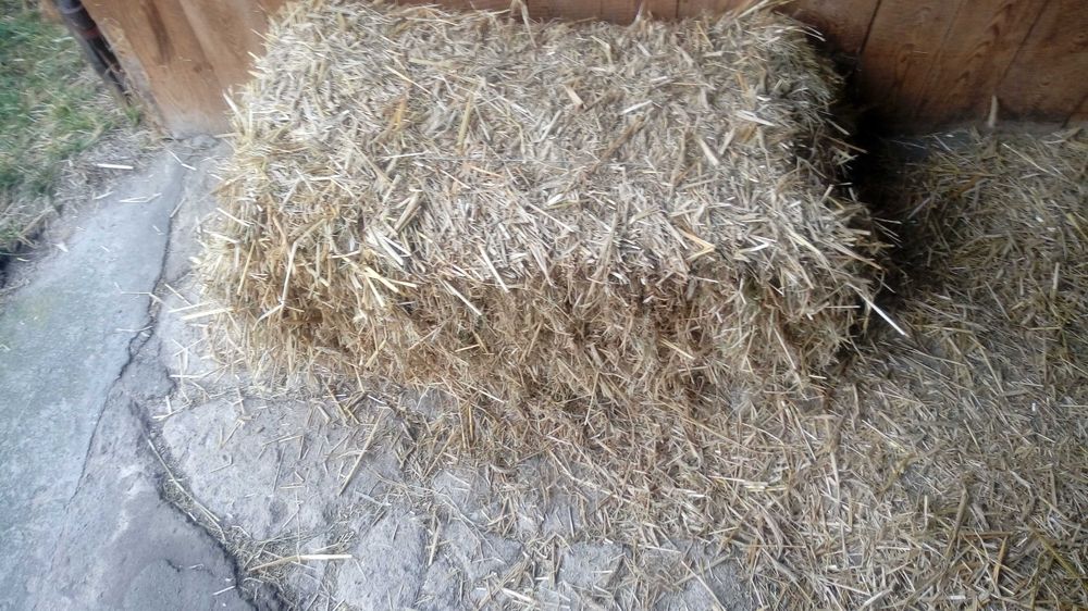 słoma kostka sprzedam