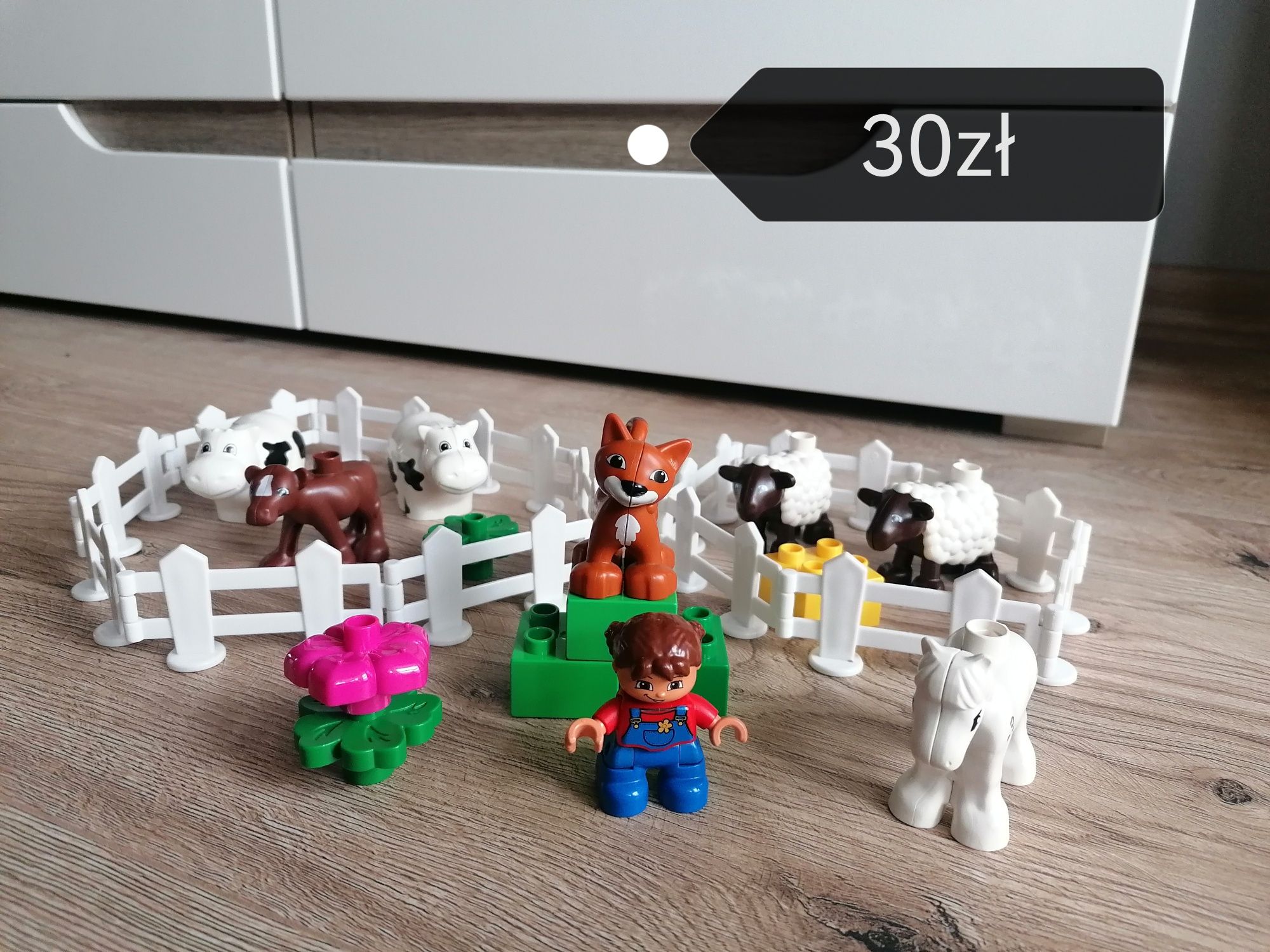 Klocki Lego duplo 10617