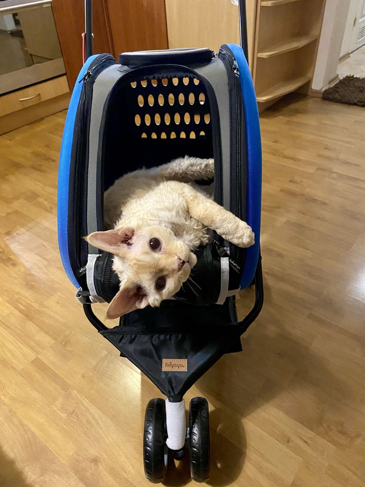 Wózek dla psa/kota Ibiyaya
