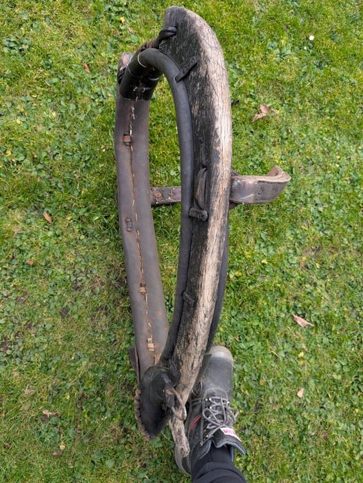 Chomonto w dobrym stanje