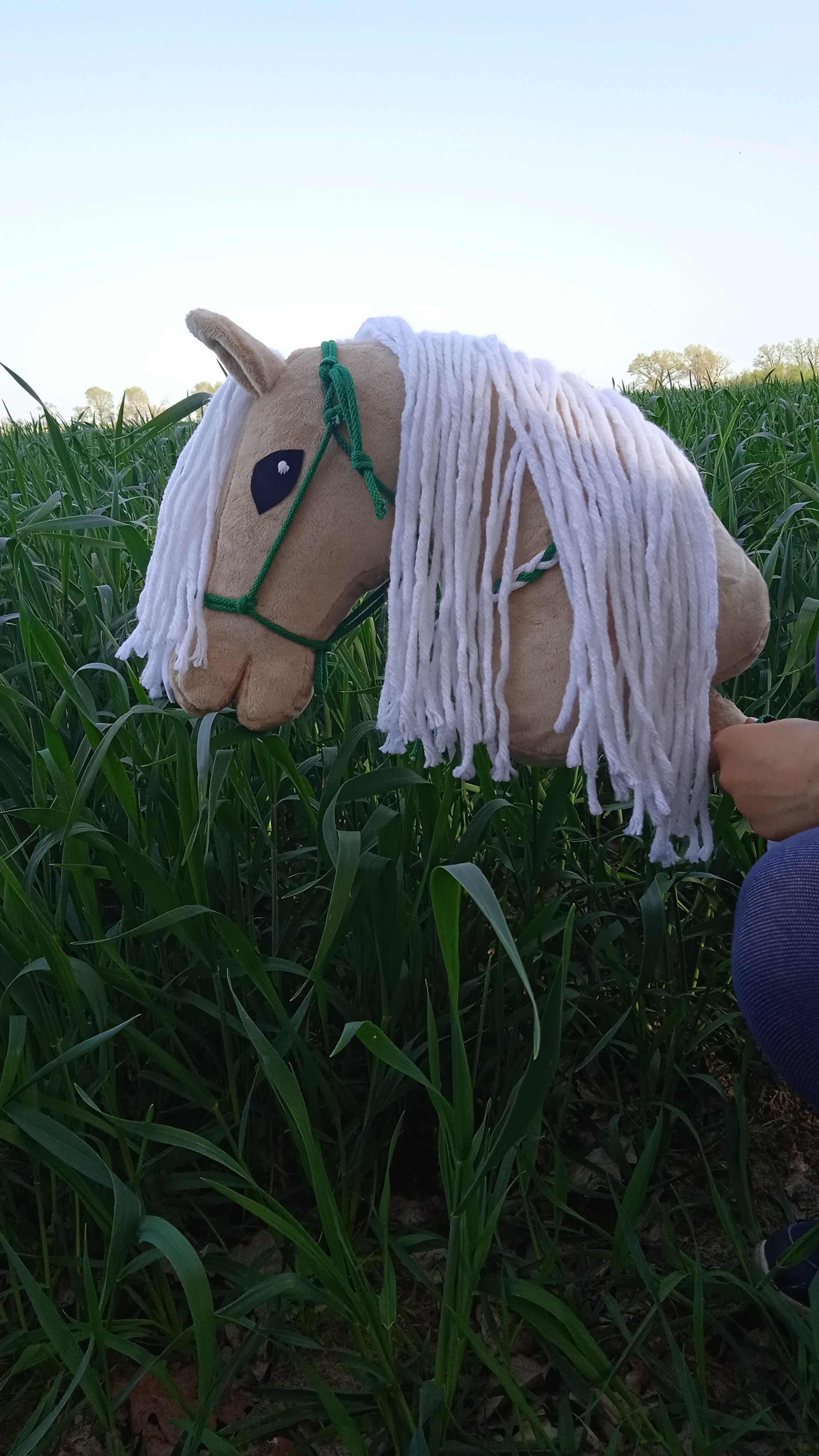 Hobby horse izabelowaty + halter + cordeo