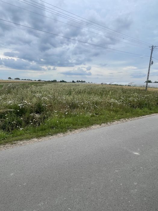 Na sprzedaż posiadłość 1,78 ha – Młodynie Górne