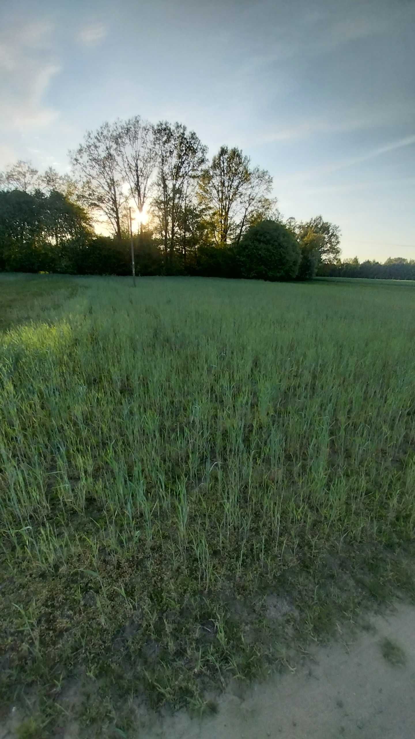 Działka nad rzeką Wartą w dolinie