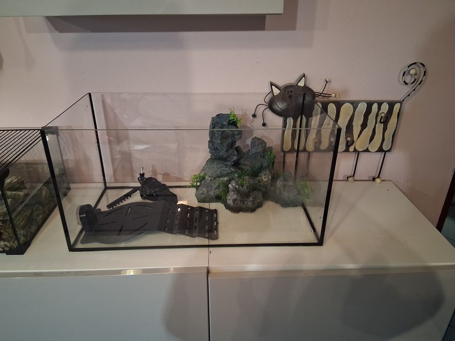 Akwarium z wyposażeniem