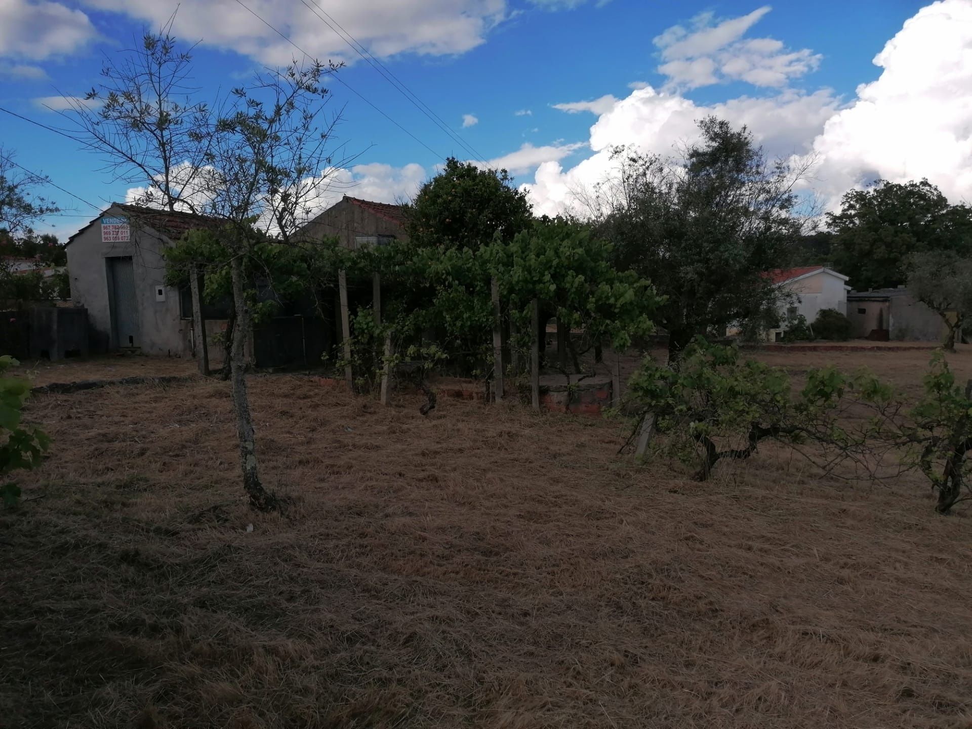Quinta em Galizes
