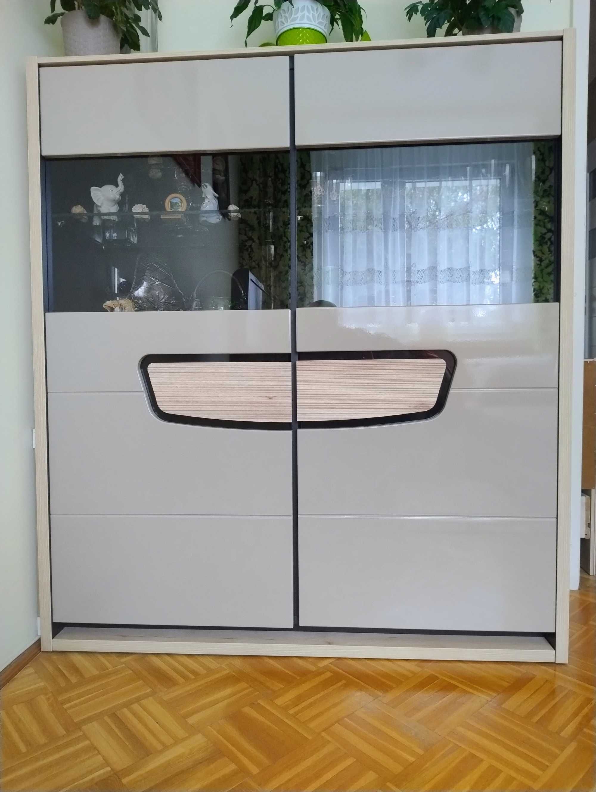 witryna i szafka pod RTV