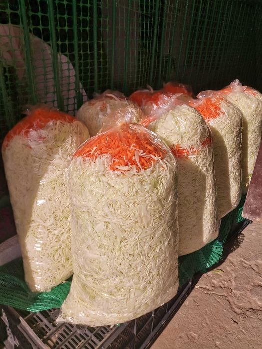 Kapusta szatkowana z marchewką