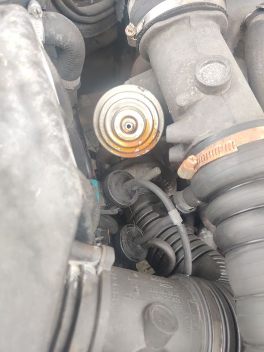 2.9 TDI OM602 w210