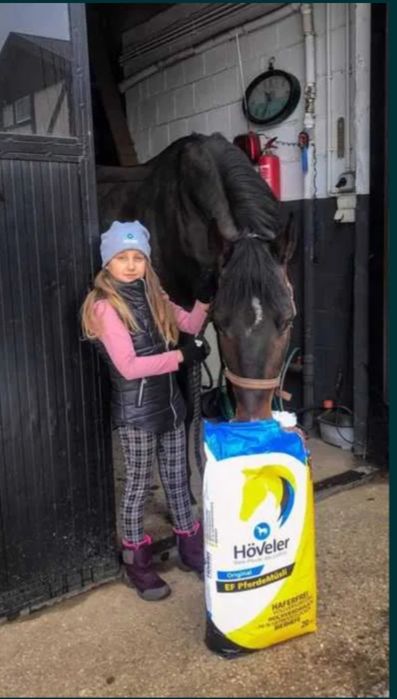 Kamizelka do jazdy konnej Phar - lap