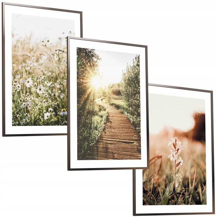 50x40 obrazy w ramie plakaty ramka ŁĄKA MOST TRAWA SALON NATURA BOHO