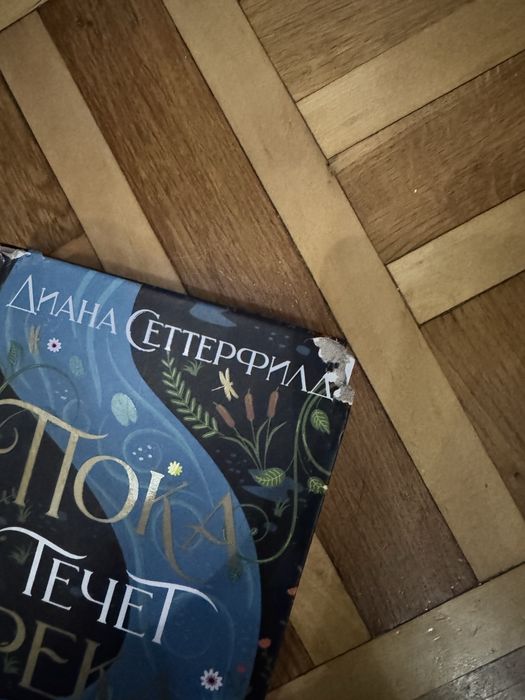 Діана Сетерфілд - Пока течет река.