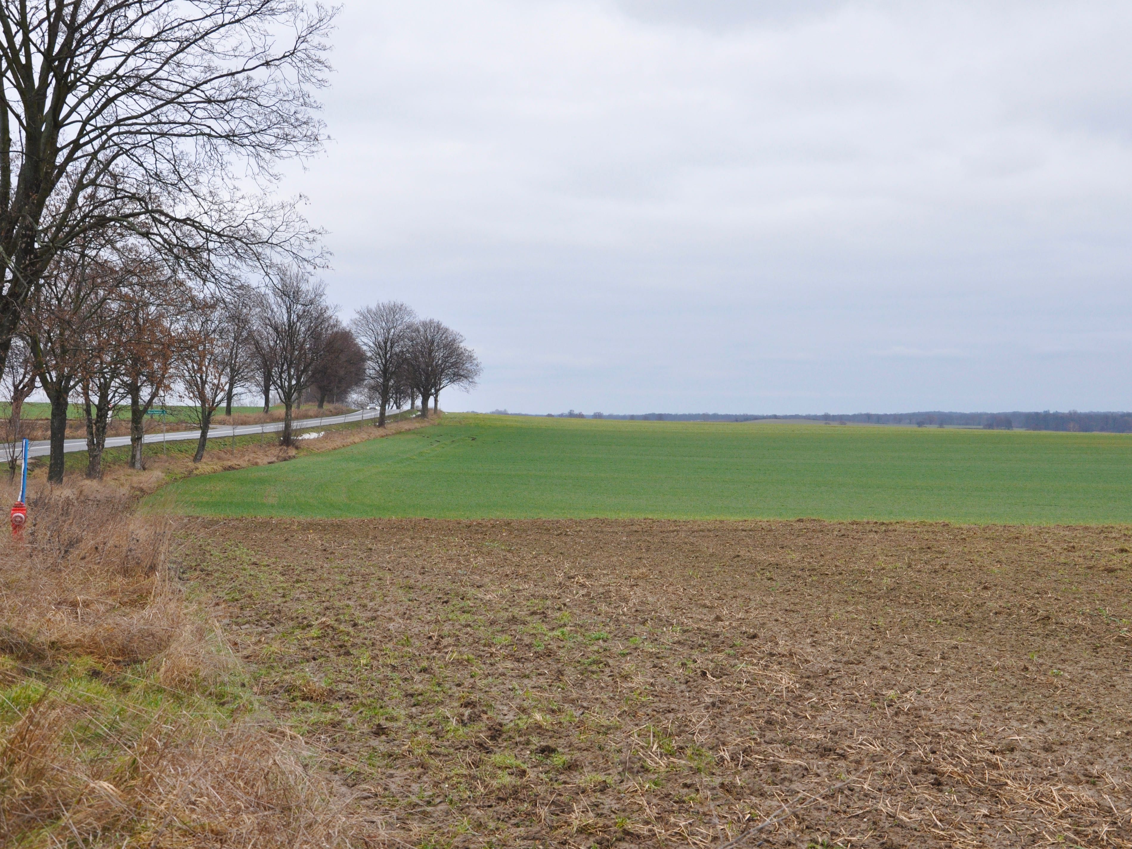 Atrakcyjna Działka Budowlana 14-16 ar, MPZP, 25km od Wroclawia