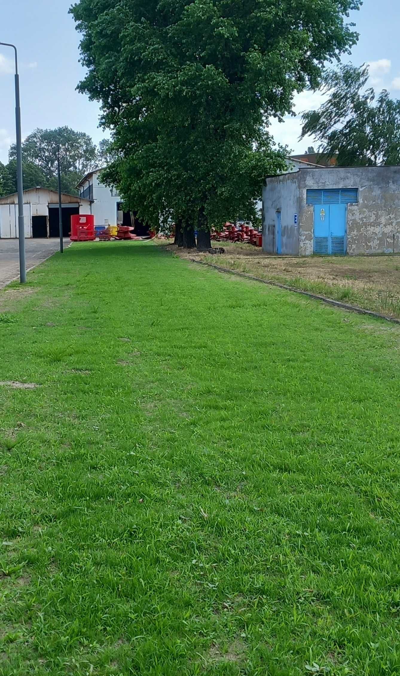 maszynowy wysiew trawy, zakładanie trawników, niwelator terenu