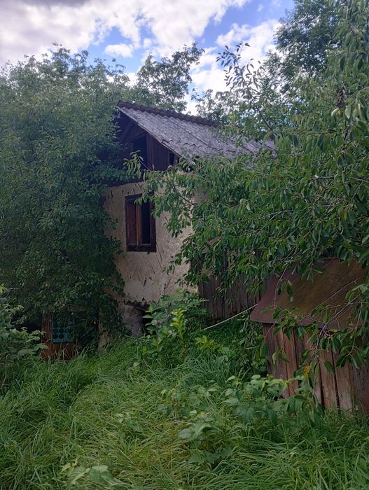 Будинок в Карпатах ( місто Косів)