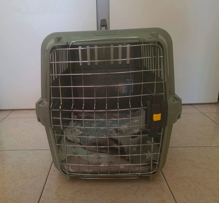 Transportadora cão