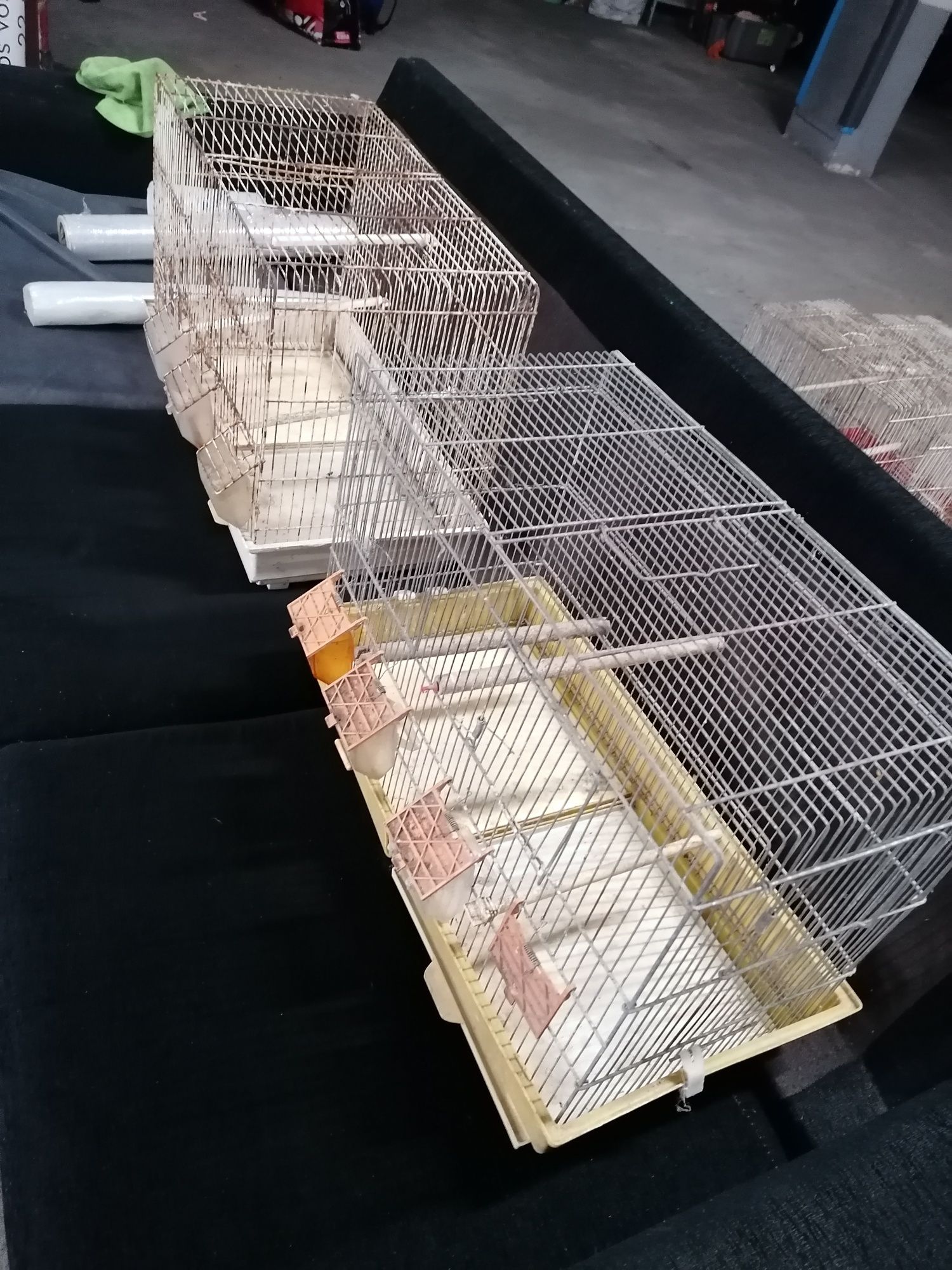 Gaiolas pássaros