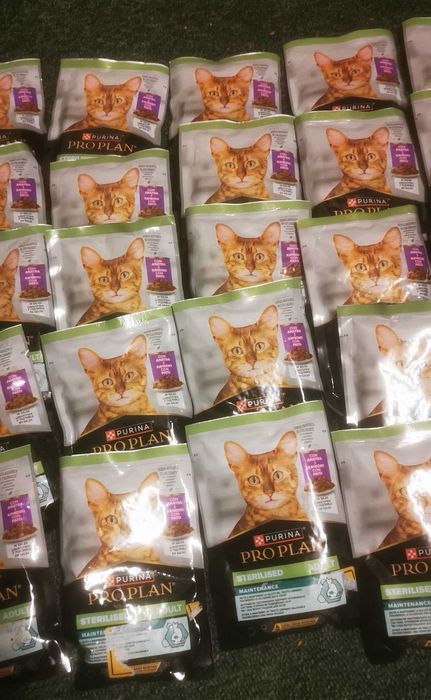 34x saszetki Purina pro plan karma dla kota