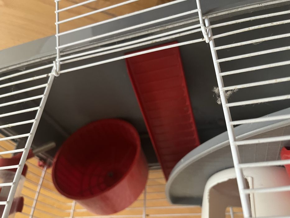Gaiola para hamster com acessórios de oferta!
