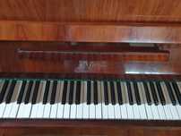 Pianino Nocturno