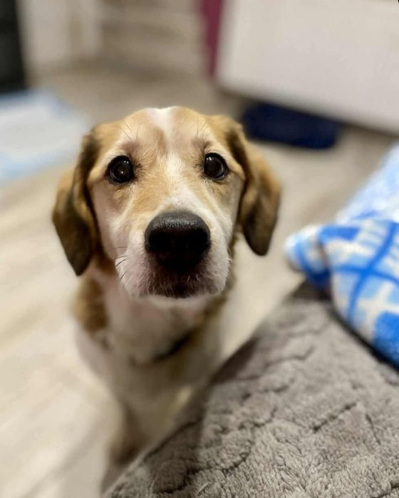 SOFI sunia spragniona szczęścia