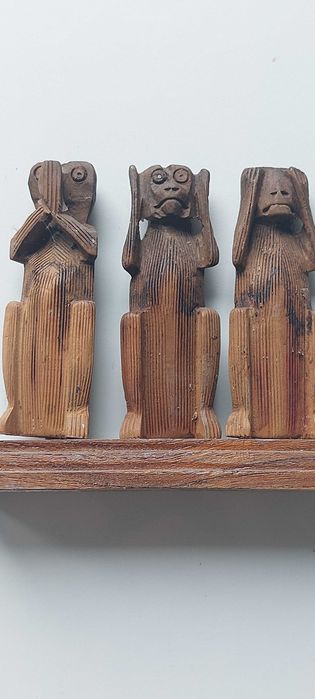 Małpki afrykańskie