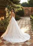 Cosmobella 8071 Demetrios