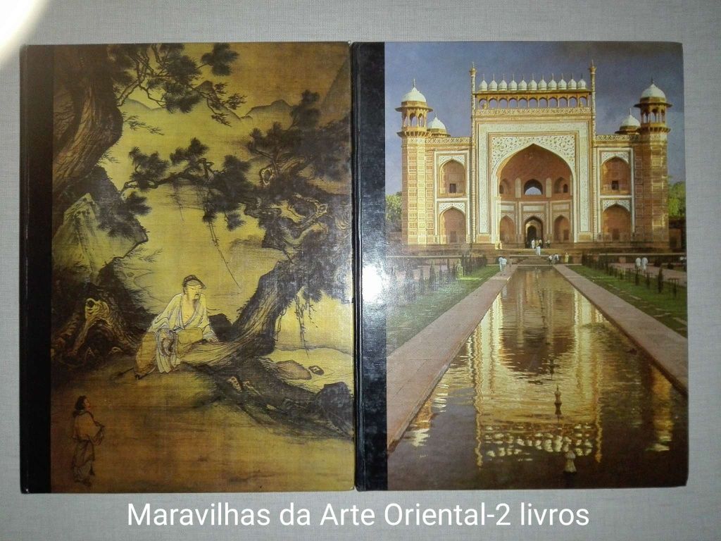 Lote de Livros antigos e recentes