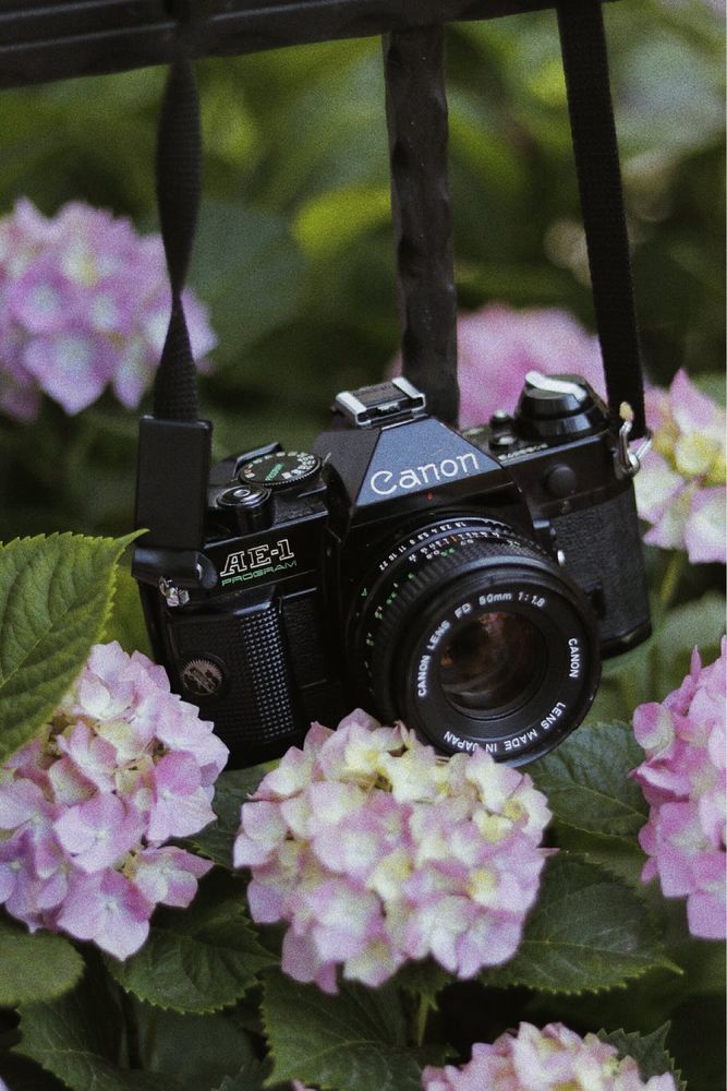 Canon Ae-1 Program black edition 100% funcional