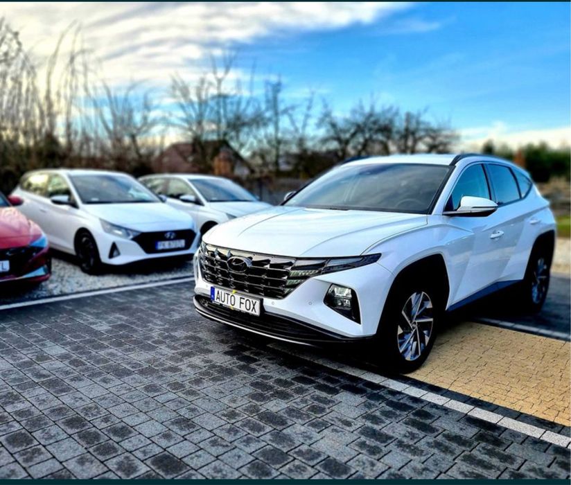 Wypozyczyalnia samochodów Auto - Fox, wynajem, busy, Ostrów Wlkp.