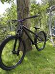 Rower dirt NS ziecus 2021