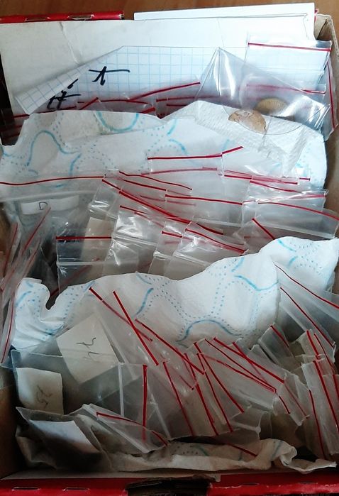 Monety RFN 1,2,5 i 10 pfennig zamienię