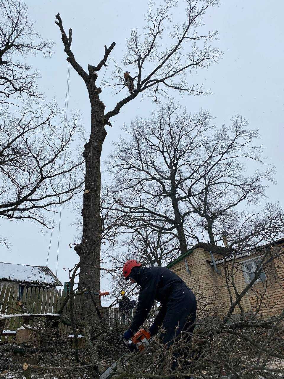 Видалення аварійних дерев, Спил частинами, Кронування, Обрізка гілок