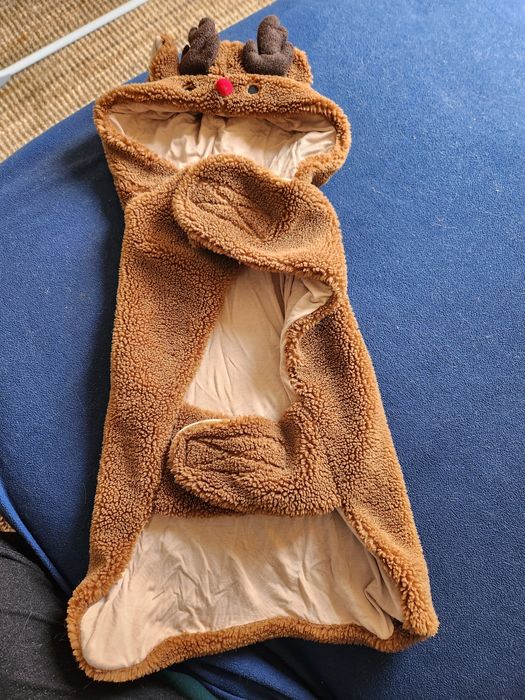 Disfarce de rena - cão