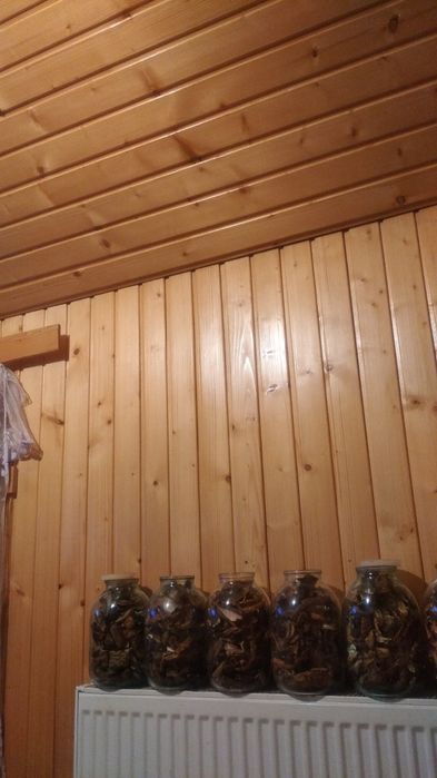 Обміняю сушені гриби на волоські горіхи