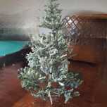 Árvore  Natal Nevada