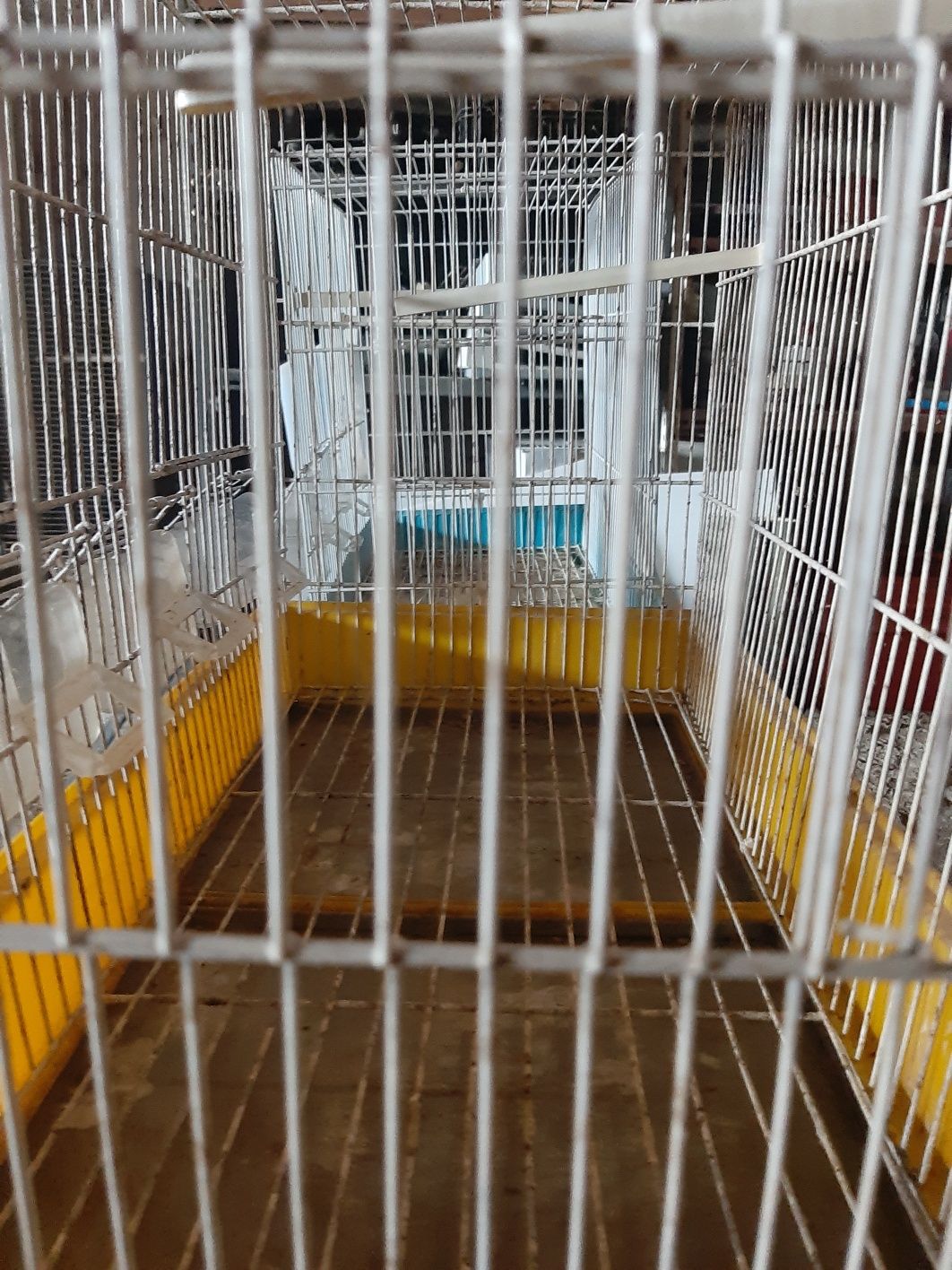 Vendo ou troco 4 gaiolas também posso  trocar por canarios