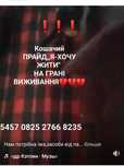 Допоможіть!!!Кошачий прайд  для тварин,' на грані виживання.