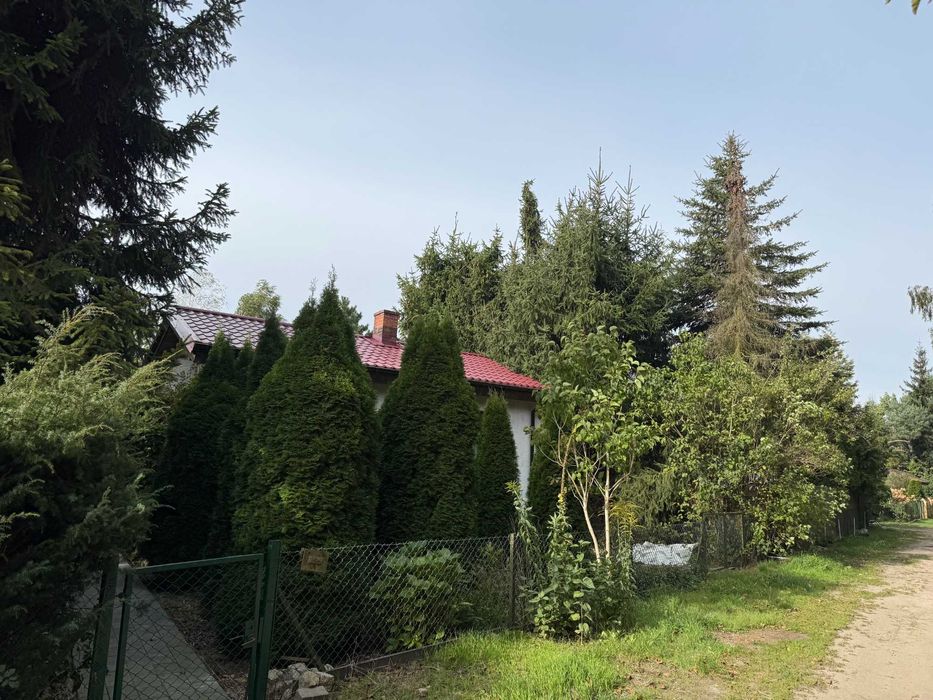 Działka ROD 467 m² pod lasem z domkiem całorocznym! ROD Bugaj