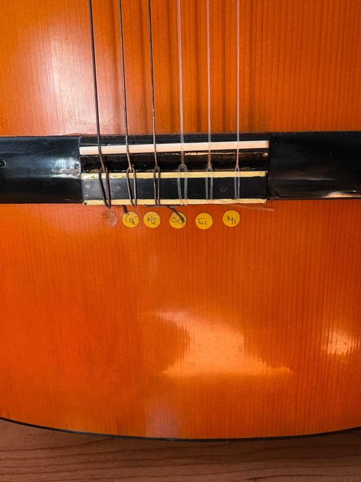 Guitarra BlueBird Classica Modelo GC-10