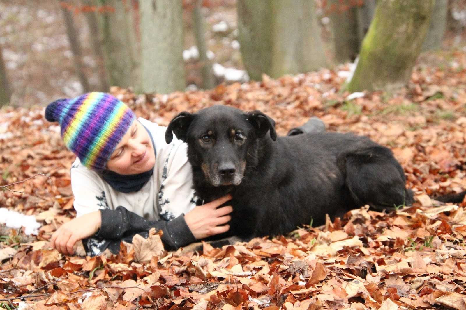 BARIBAL - niezwykle przytulny, łagodny, kochający. [FILMIK]