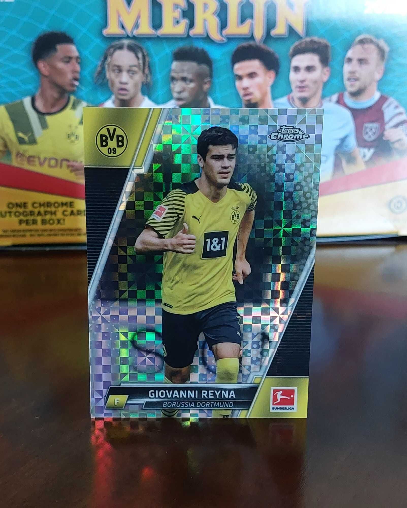 Giovanni Reyna - Borussia Dortmund